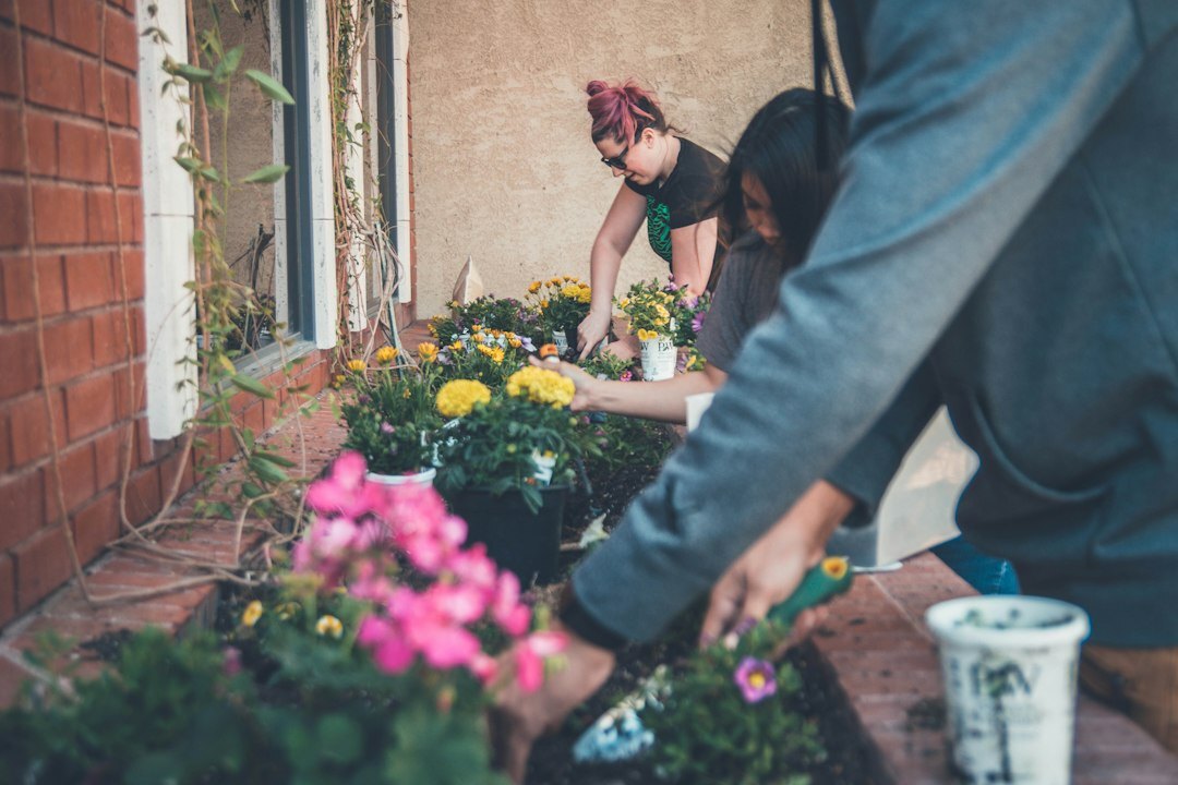 senior gardening plants