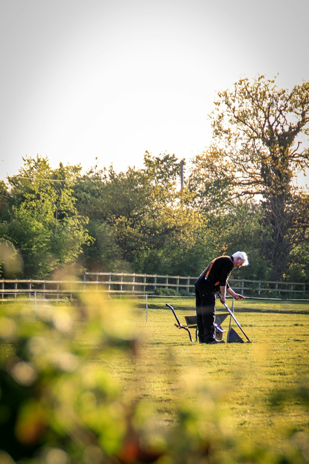 senior people gardening